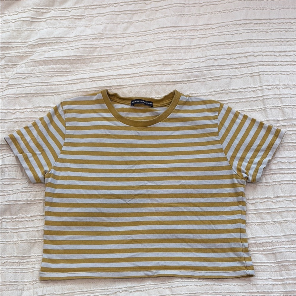 Brandy Melville stripped crop top